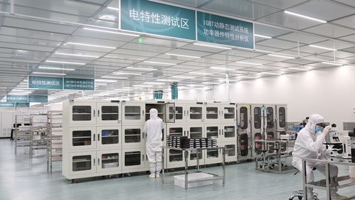 張家口的風(fēng)，點亮北京的燈——海歸青年在綠色能源浪潮中顯身手