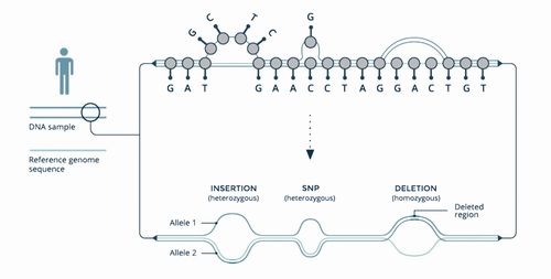 科學前沿的革新印記 2020年《科學家》雜志十大創新科技產品盤點